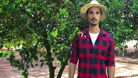 Farmer or worker with hat looking for camera in front of orange tree. Organic Plantation Concept Video.