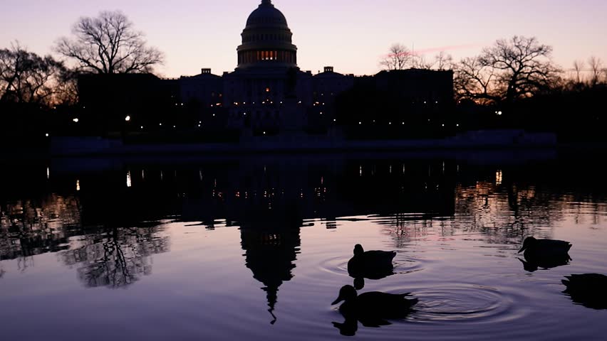 The sun rises behind the US Capitol building as ducks swim across the Reflecting Pool in Washington, D.C.