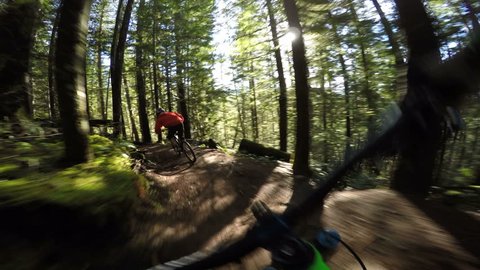 Action Sequence Following A Mountain Biker Through A Forest On A Sunny Day