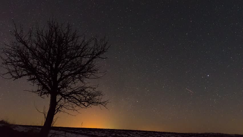 Star Trail Galaxy Spins Behind Joshua Tree in Stunning Night Desert Timelapse