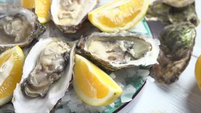 Oysters on ice with lemon closeup. Fresh Oyster on half shell on big plate in restaurant. Served table. 4K UHD video slow motion