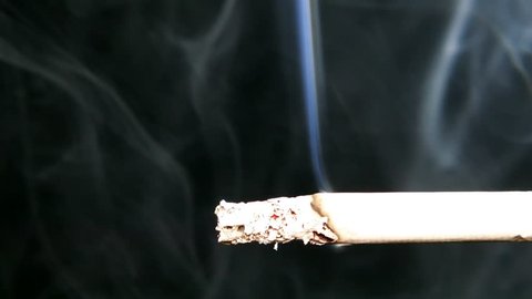 Smoking cigarette on a black background. The smoke in the backlight is clearly visible.