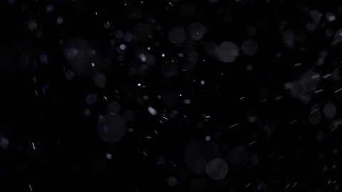 Natural floating particles on black background. Slow motion.
