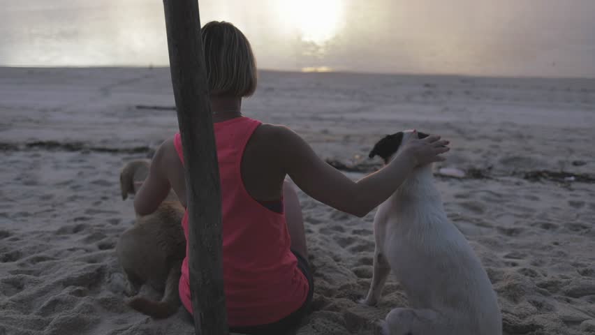 chilling relaxing tender woman or girl stroking two dogs (pets) on sea shore or ocean coast, enjoying her summer evening
