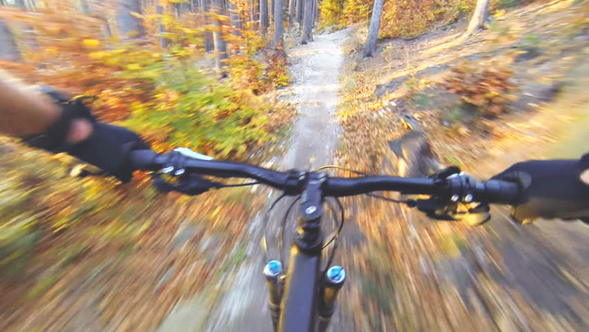 Speed riding an enduro mountain bike in orange autumn forest. Downhill ride in woods. View from first person perspective POV. Full HD gimbal stabilized video, Gopro Hero 4 black. | Shutterstock HD Video #1009008407