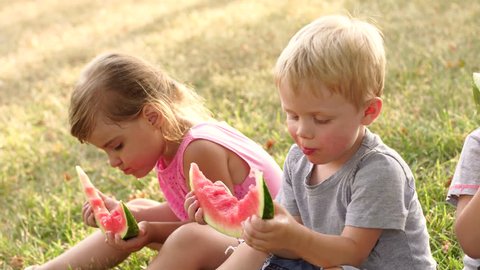 Group of children eating watermelon outdoors. Children eating watermelon sitting on the grass in park. Close-up. High resolution. 4K.