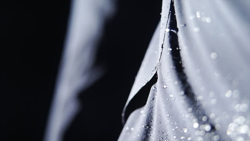 man in raincoat under rain, close-up detail water drops on waterproof canvas in slow motion Royalty-Free Stock Footage #1009041593