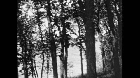 1930s: Trees. Looking down rural road. Sign for service station. Girl runs through bushes. Girl dips stick into lake.