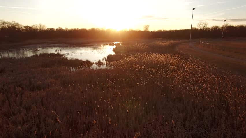drone footage flying over wetlands and tall grass into sun