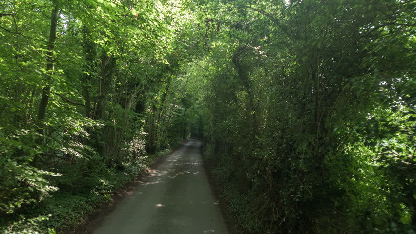 POV shot from a camera attached to the front of a vehicle driving through a tunnel of trees on a country road in england