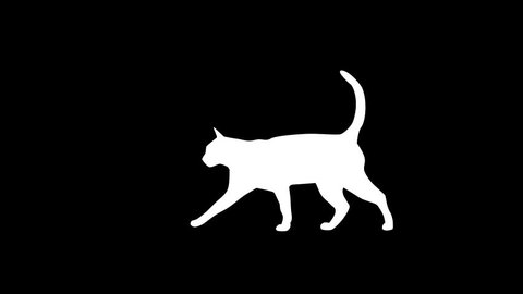 Black and white cat on the black and white background, animation