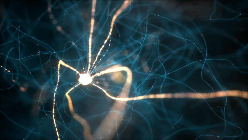3D illustration of Interconnected neurons with electrical pulses. | Shutterstock HD Video #1009181345