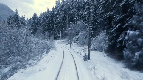 Traveling with train trough winter forest
