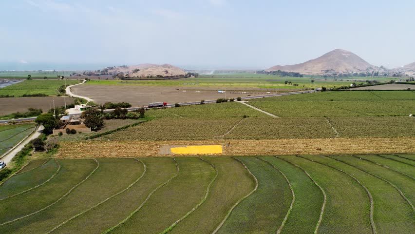 Aerial: Fields and a street near Chimbote. North of Peru