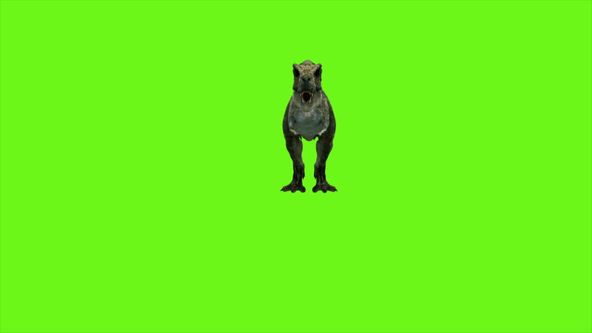 T Rex Tyrannosaur Dinosaur animation on green screen. GI realistic render. 4k. Royalty-Free Stock Footage #1009192856