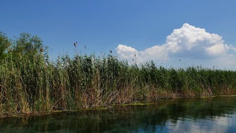 A view from a crystal clear Mediterranean river and marshes around it. Shot in  Akyaka (Gulf of Gokova, Aegean Sea), on a calm spring day.
