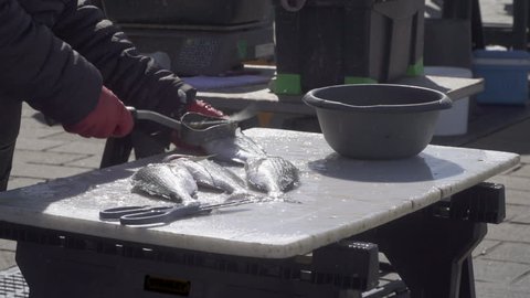 Vendor scaling a fish at Marseille fish market