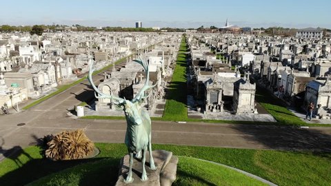Greenwood Cemetery stag statute 스톡 비디오