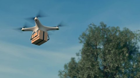 Drone quadrocopter delivers a package