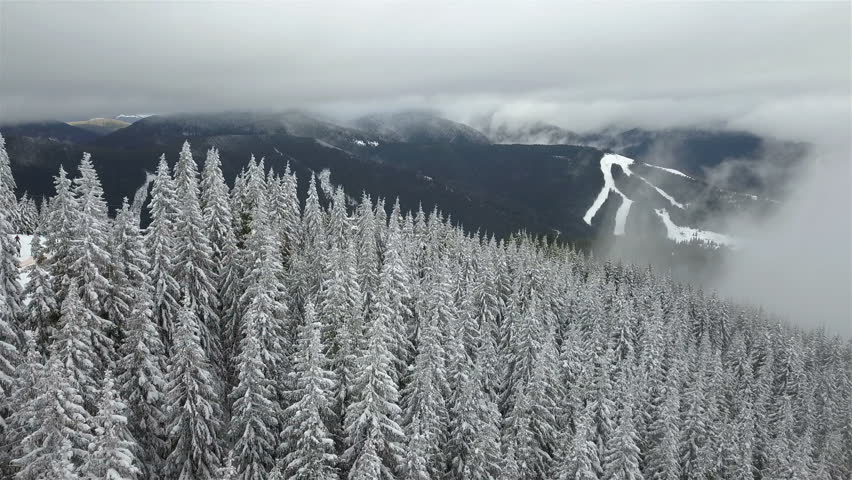 Beautiful winter mountain landscape with snow covered spruces in the foreground