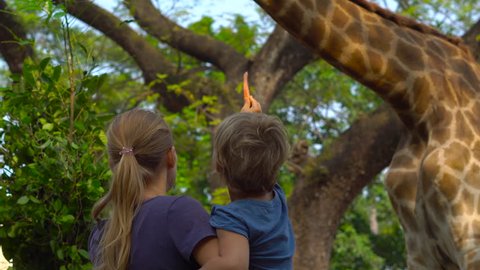 Woman and her son feed a giraffe in a safari park