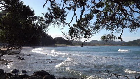 Scenic view of Hot Water beach through pohutukawa trees, Coromandel Peninsula, New Zealand