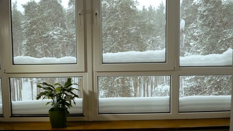 Window. Window overlooking the snow-covered forest
