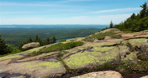 A motion controlled dolly time lapse passing by flower and rocks on Cadillac Mountain in Acadia National Park, Maine on a summer day.