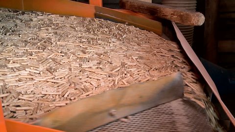 pellet production at the timber processing enterprise