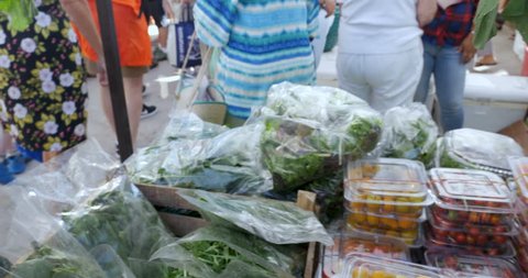 Shopper buying and selecting fresh organic greens, lettuce, cherry tomatoes, and arugula in plastic bags and containers at a farmers market
