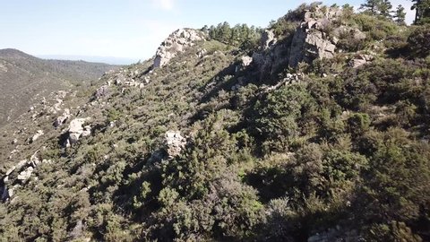Slow flying along a mountain ridge of beautiful green pine trees and rocks. วิดีโอสต็อก