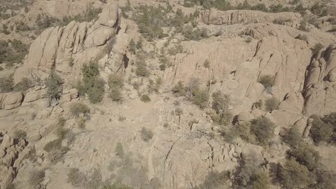 Slow up-camera reveal of a mars-like landscape covered with trees and red rocks.: stockvideo