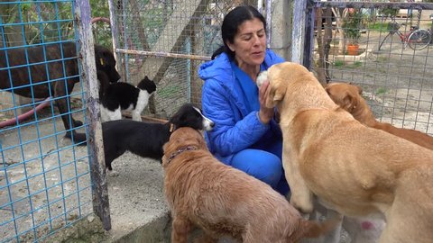 4K Woman surrounded by dogs in the shelter kisses one of them

