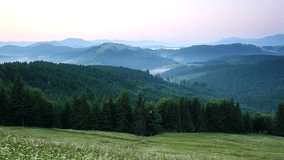 Idyllic mountain view of morning alpine countryside. Location Carpathian mountains, Ukraine, Europe. Scenic footage of beautiful nature landscape. Discover the beauty of earth. Full HD 1080p video.