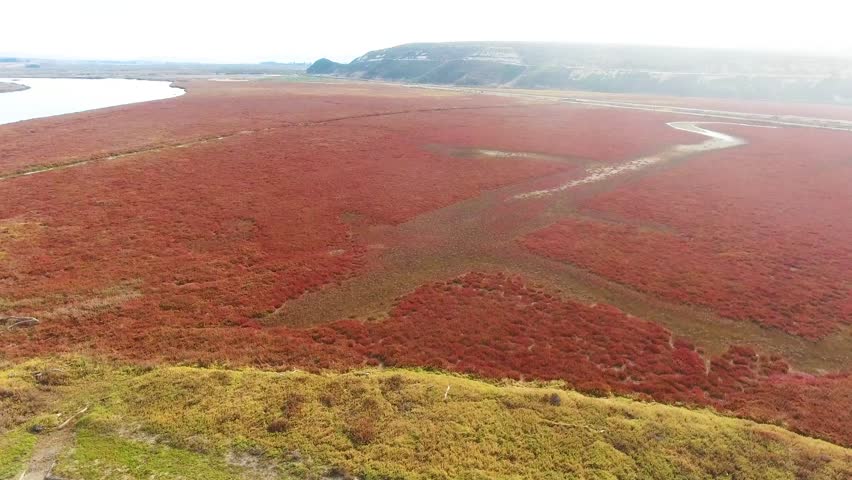Marsh Land Sanctuary