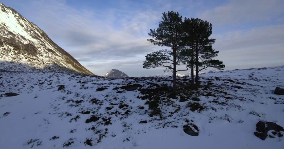 Amazing landscape in Norway with mountains, pines and snow