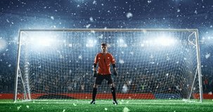 Soccer game moment with goalkeeper on professional stadium