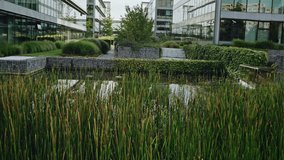 Beautiful artificial pond in office courtyard, with lots of green plants. Camera tilt up to glass office buildings and clear sky