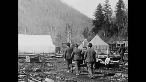 CIRCA 1910 - The lumber industry in America in 1920.