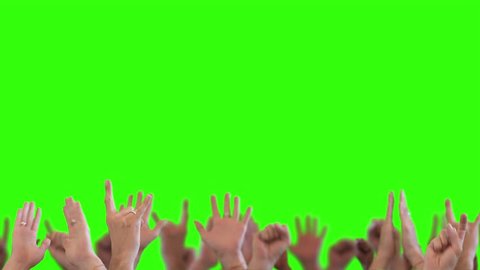Cheering Hands Green Screen. Cheering crowd happy waving their hands on green screen background