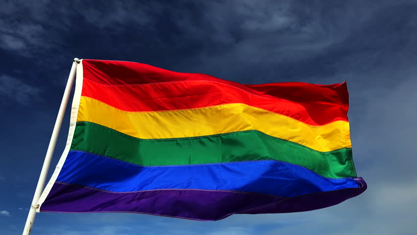 rainbow gay pride colors