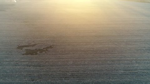 Into the sunrise over a field วิดีโอสต็อก