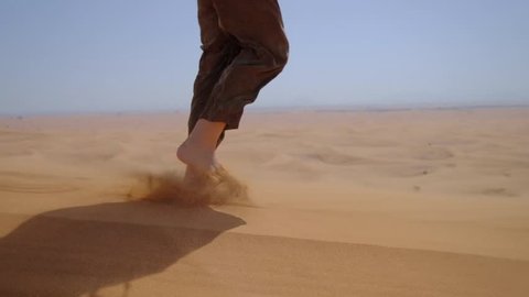 Des Pieds D Ours Marchant Dans Le Video De Stock 100 Libre De Droit Shutterstock