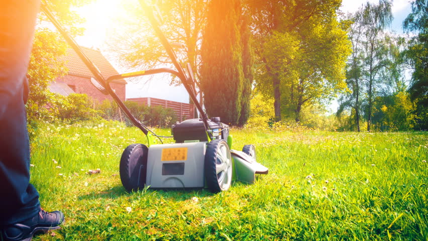 Cutting grass with petrol driven lawn mower in sunny garden Royalty-Free Stock Footage #1009403087