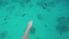 Woman swimming underwater in slow motion beautiful female feet row point of view