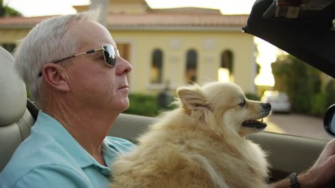 Active Senior Man Drives Through Affluent Neighborhood With His Happy Dog In Sunny Florida - Shot On Red Scarlet-W Dragon In 4K/ Slow Motion