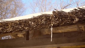 Thaw. Water from melting snow, ice and icicles drips from wooden thatched shed roof made of reed or straw on a sunny spring or winter day