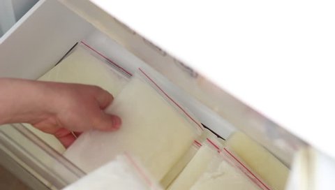 Organize Breast Milk for Donation. Breastmilk Storage in the Refrigerator