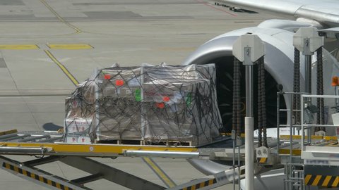 
Professional video of unloading transport cargo from the airplane in 4K Slow motion 60fps
