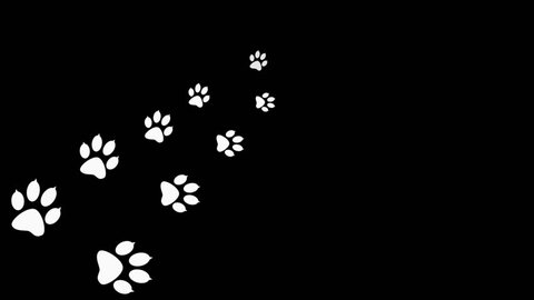 Dog paw print border Stock Video Footage - 4K and HD Video Clips ...